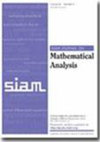SIAM JOURNAL ON MATHEMATICAL ANALYSIS雜志封面